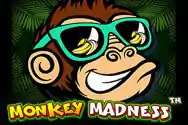Monkey-Madness.webp